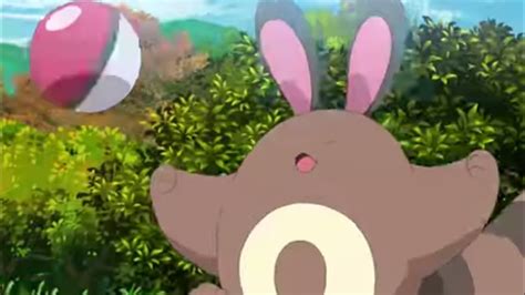 Goh Catch Sentret In English Pokemon Journeys Episode In English Poke