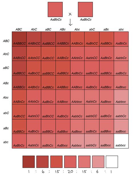 Polygenic Traits Biology