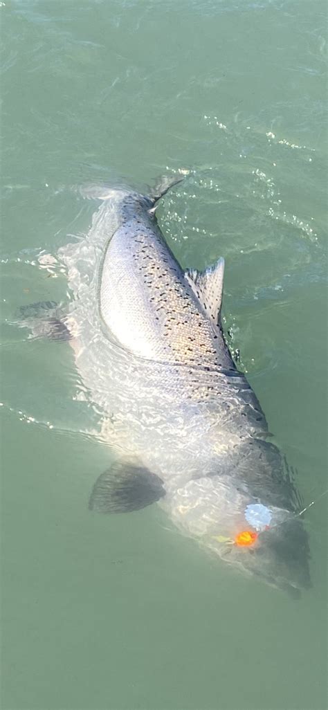 Kenai River Jim Rusk Fishing Guide Alaska