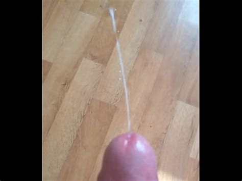 WP 20160208 13 04 19 Pro XVIDEOS