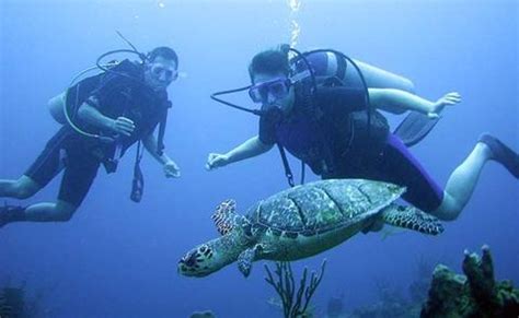 Barrier Reef Scuba Diving - San Pedro, Belize | Anywhere