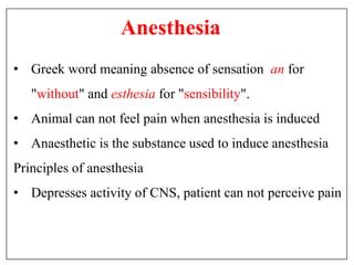 Anesthesia | PPT