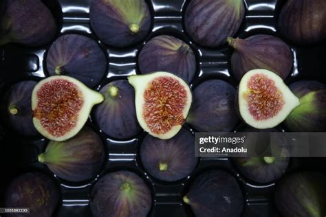 Figs Are Seen After They Had Been Picked In Bursa Turkey On News