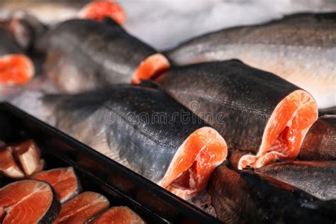 Peixe Fresco No Gelo No Supermercado Imagem De Stock Imagem De