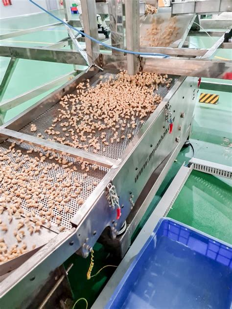 Automatic Cashew Nut Shelling And Processing Machine Lines Full Set