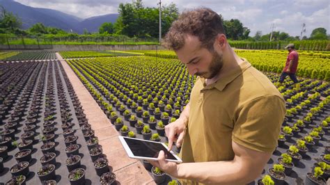 Young agricultural engineer works in greenhouse. 33500990 Stock Video