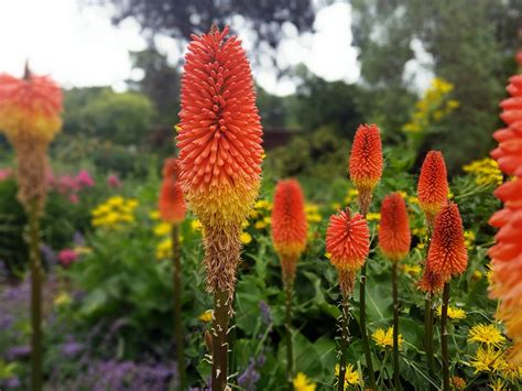 Gardens to visit - Christchurch Botanic Gardens