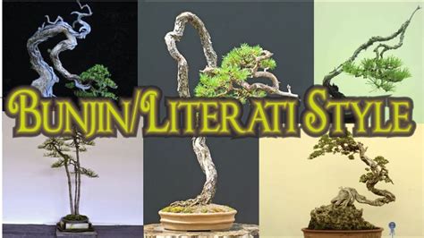 35 Bonsai Bunjin Literati Style Terbaik Untuk Inspirasi Pebonsai