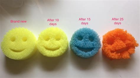 Scrub Daddy Sponge Atelier Yuwaciaojp