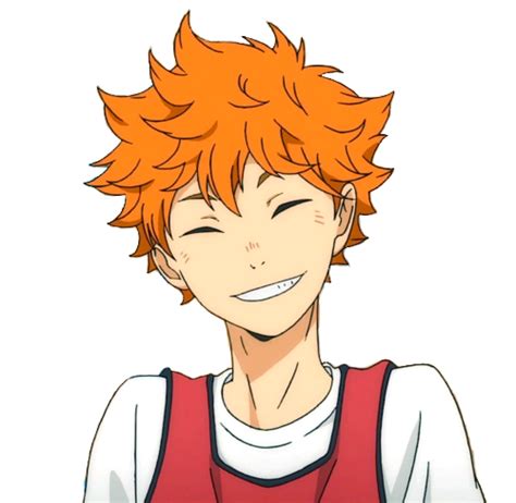 Pin On Hinata Shouyou ☀