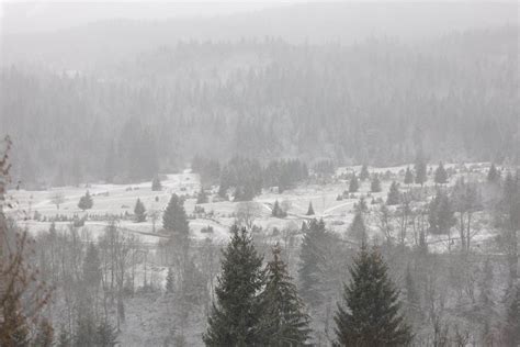 Brojni kvarovi na elektro mreži zbog snijega u BiH pojedina naselja i