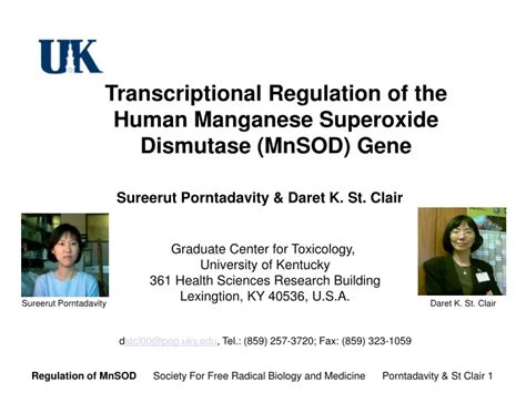 Ppt Transcriptional Regulation Of The Human Manganese Superoxide