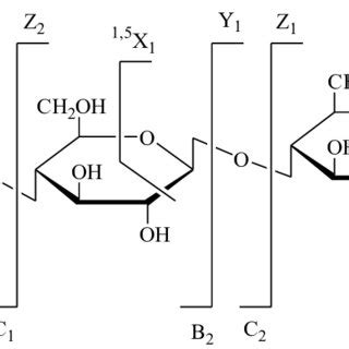 Systematic nomenclature for oligosaccharide fragmentations generated by ...