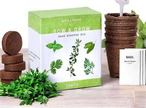 Best Starter Herb Garden Kits [Indoor Kits] | Family Food Garden