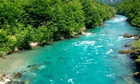 The Cleanest River In The World Sungai Terbersih Di Dunia Tara River