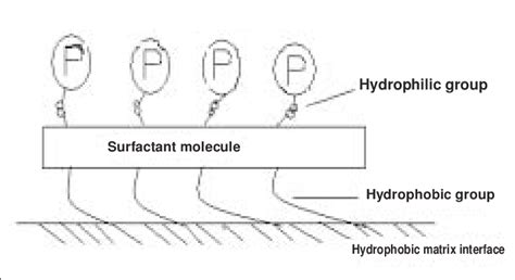 Mechanism of Action of Surfactant in Preventing Unfolding of Protein ...