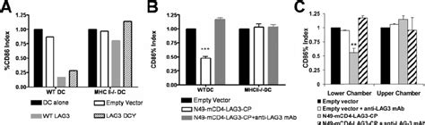 Ectopic Expression Of Lag Confers Regulatory Activity In Manner