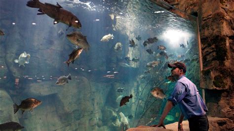 Все для рыбалки...ПО АМЕРИКАНСКИ!! - YouTube