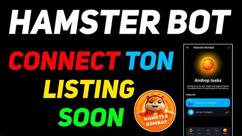 Hamster Kombat Wallet Connect Process How To Connect Ton Wallet In