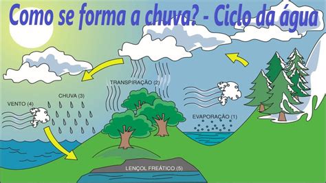 Como Acontece O Ciclo Da Agua - MAGEDU