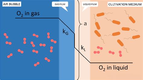 Gas Liquid Oxygen Mass Transfer According To The Two Film Theory