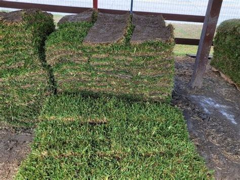 St Augustine Grass Sod Sales Install Delivery Order Now Pickup