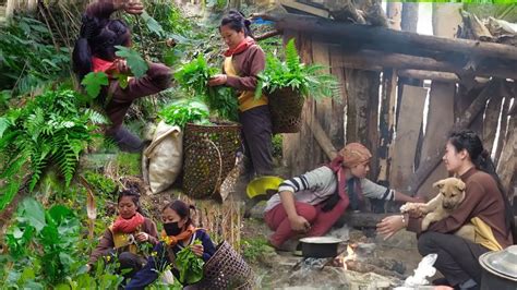 Naga Girls Collecting Wild Ferns Organic Mustard Leaves From The