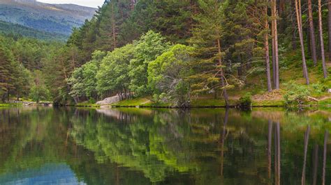 Beautiful mountain lake in the forest | Windows Spotlight Images