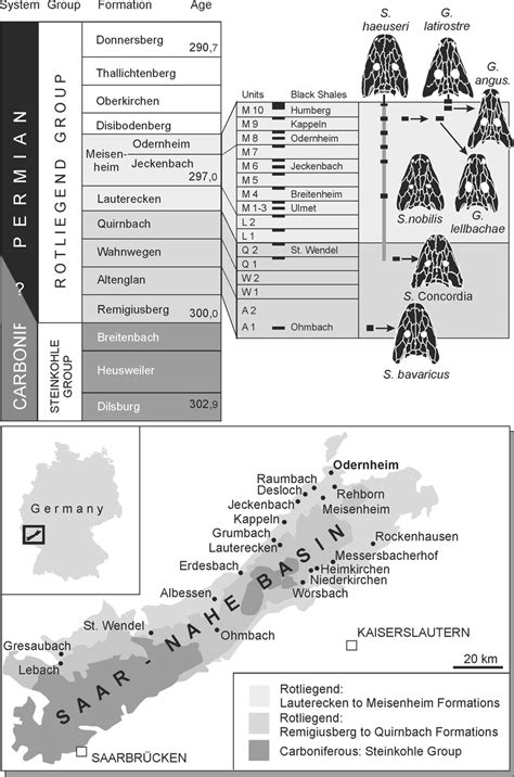 Localities Yielding Sclerocephalus And Glanochthon Material And