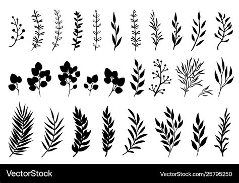 Set Hand Drawn Tree Branches And Leaves Royalty Free Vector