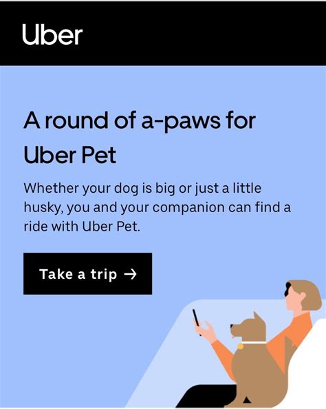 Uber Pet South Africa: Pet-Friendly Rides Now a Thing