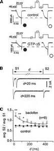 Calcium Channel Regulation And Presynaptic Plasticity Neuron