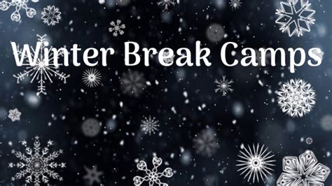 Winter Break Camps Around Tysons | Tysons Reporter