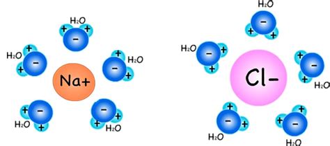 Diagram Of Nacl Dissolved In Water Diagram Water And Sodiu