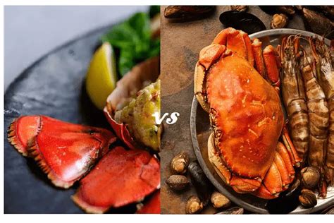 Lobster Vs Crab Taste Do They Taste Similar Or Different Chef Tastes