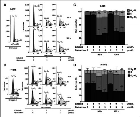 The Combination Of Quinacrine And Erlotinib Inhibits G 1 S And G 2