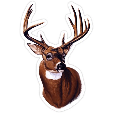 Sticker Adult Deer Head MuralDecal