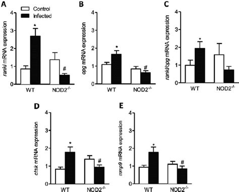 Expression Of Mrna For Osteoclastogenic Markers Rankl Opg Rankopg Download Scientific