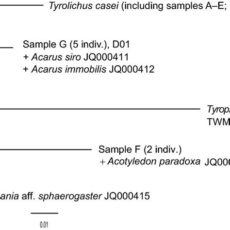 Pca Pattern Plots Using Snps Obtained By Mig Seq Individuals Of Five