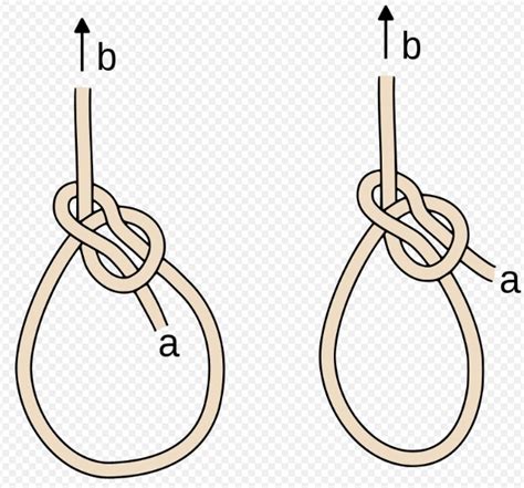 The “Snap Bowline” - a very crafty knot — Alpinesavvy