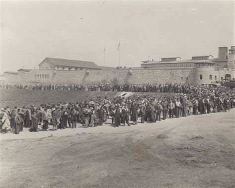 Mauthausen Concentration Camp Map