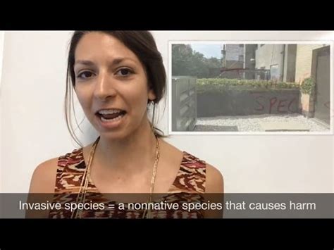 Invasive Species Basics YouTube