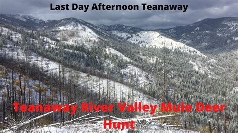 Teanaway Gmu Last Day Mule Deer Hunt Muledeerhunting