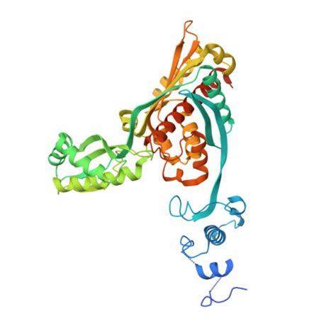 Rcsb Pdb Hw Complex Of The Catalytic Portion Of Human Hmg Coa