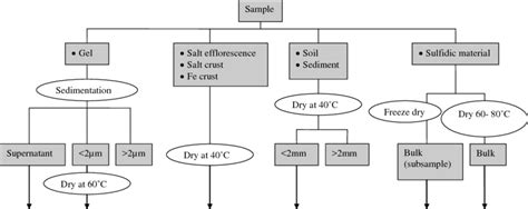 Flow Diagram Summarising The Preparation And Fractionation Of Various