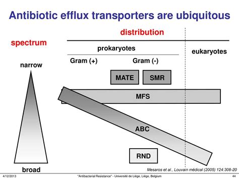 Antibiotics Efflux Pumps From Biology To Clinical Implications And