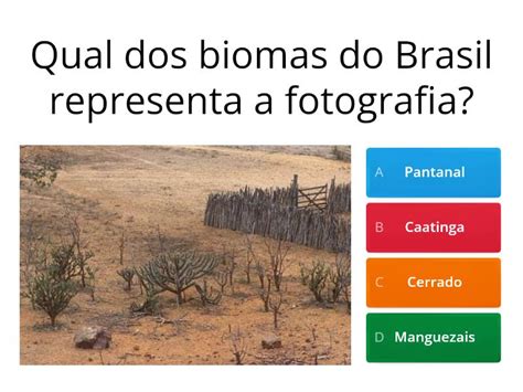 Biomas Do Brasil Quiz