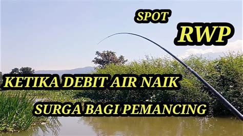 NAIKNYA DEBIT AIR RAWA PENING BERKAH BUAT NELAYAN DAN PEMANCING YouTube