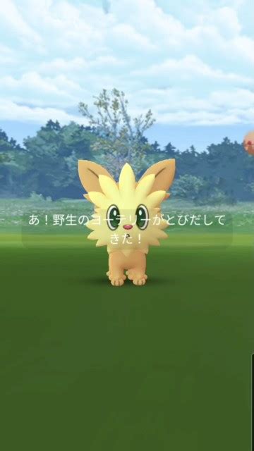 【ポケモンgo】ポカブ大量発生中に想定外の超レア色違いに遭遇！？ 星の砂3倍も激アツ【コミュニティデイ】 ラプラス大好きトレーナーの