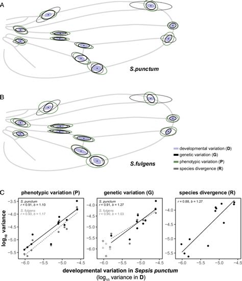 Ellipses representing variation in landmark positioning due to ...